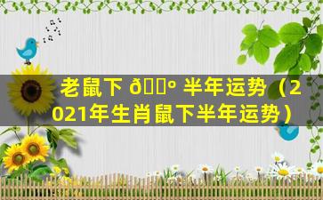 老鼠下 🐺 半年运势（2021年生肖鼠下半年运势）